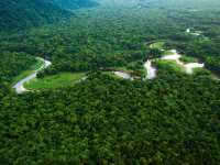 amazon biome biodiversity brazil