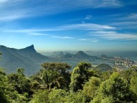 atlantic forest biodiversity in brazil