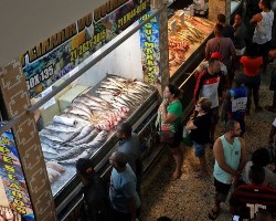 mercado de pescado niteroi río de janeiro