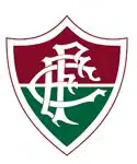 fluminense football teams in rio de janeiro