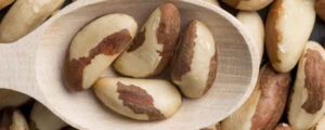 brazil nuts