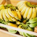 bananas en brasil bananas prata