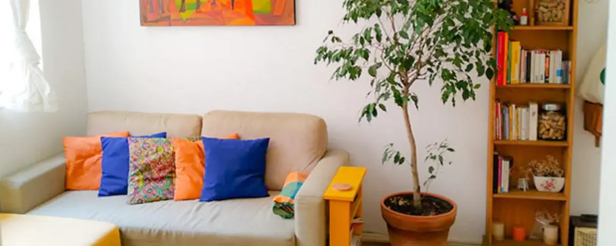 Private Apartments in Rio de Janeiro