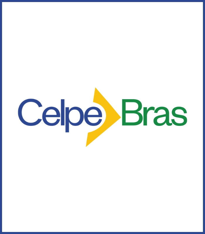 Curso de Preparação para o Celpe-Bras